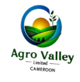 AGRO VALLEY LIMITED