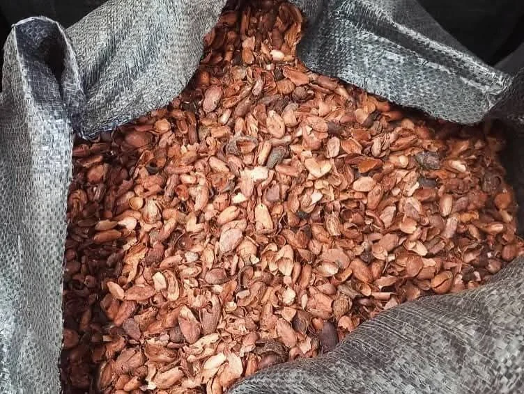 Cocoa Shells