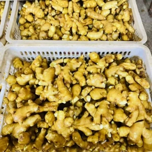 Ginger