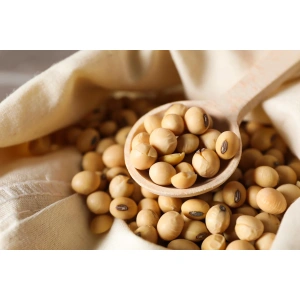 Soybean